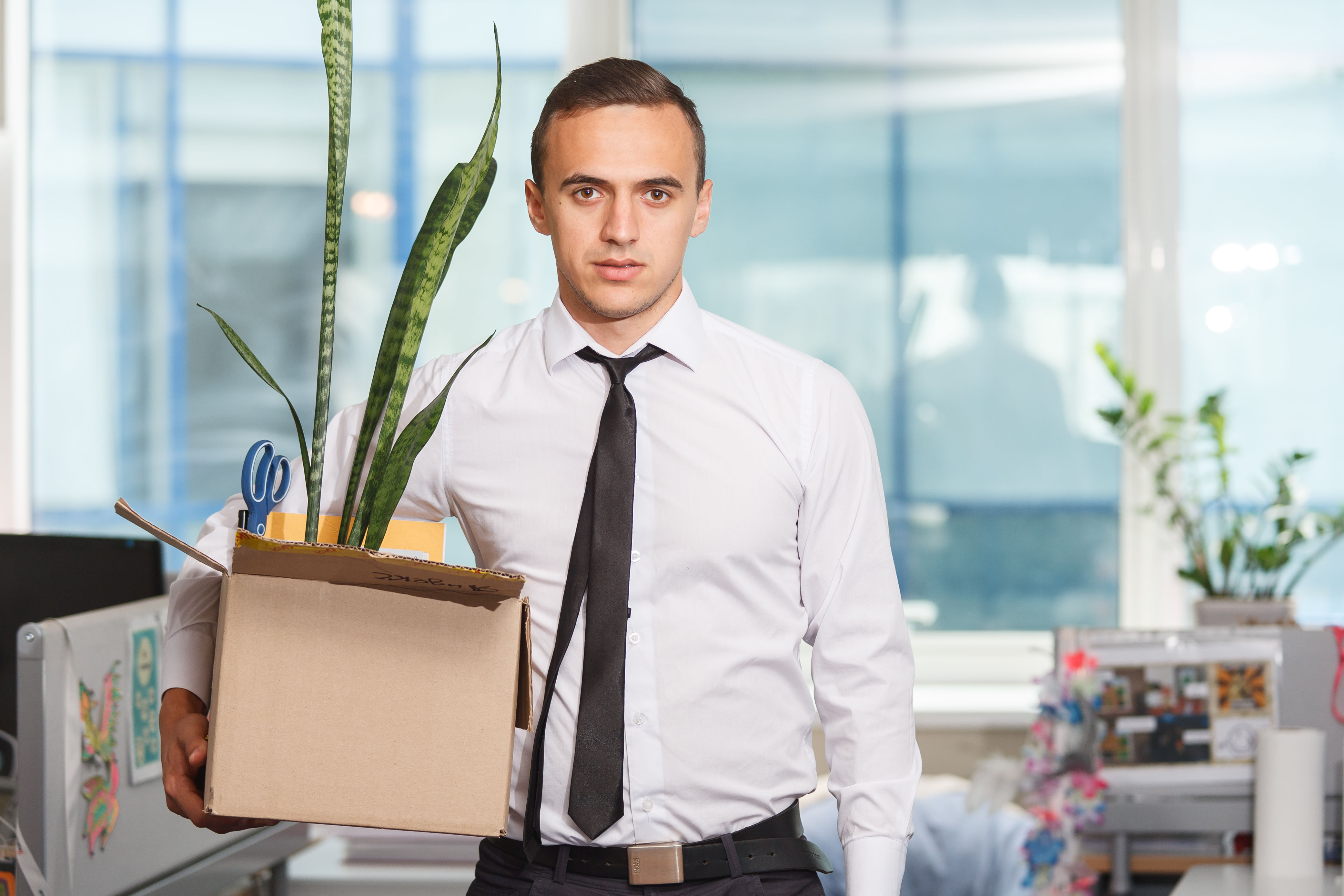 Getting Fired Is Nature S Way Of Telling You Getting Fired Is Nature S Way Of Telling You